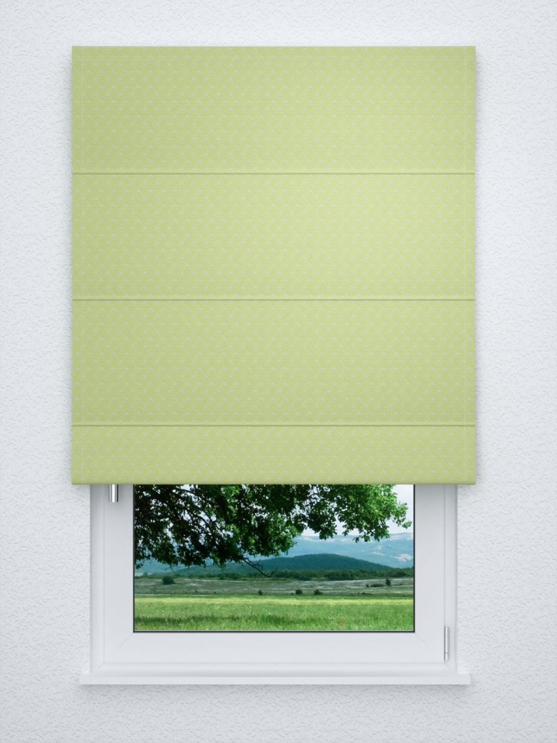 Raffrollo classic in grün