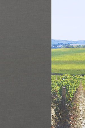 Preview Böhlen 20.861e 2