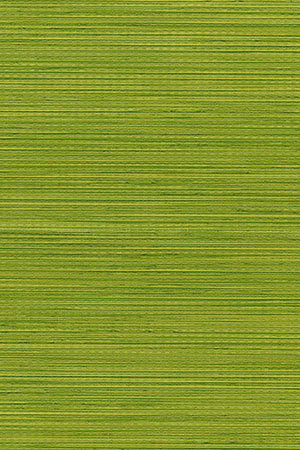 Preview Ankaa 5506.1406 4