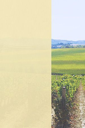 Preview Dülmen 71.814e 2