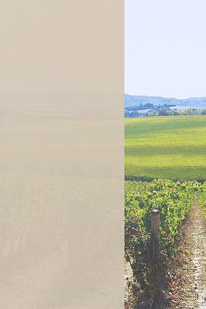 Preview Dülmen 91.814e 2