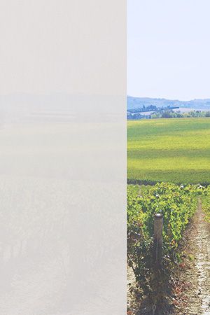 Preview Dülmen 12.814e 2