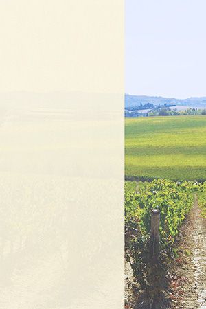 Preview Dülmen 22.814e 2