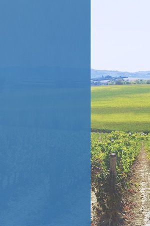 Preview Dülmen 85.814e 2