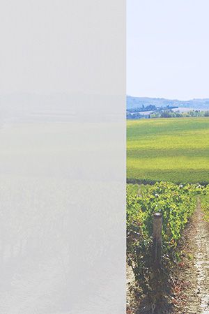 Preview Düren 00.024e 2