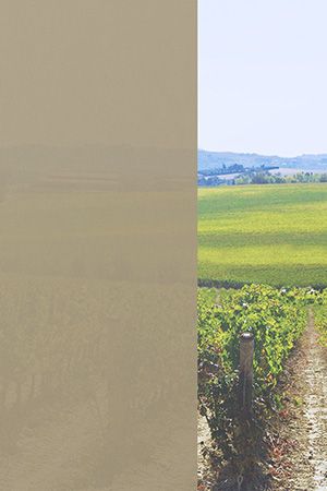 Preview Düren 81.024e 2