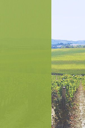 Preview Düren 98.024e 2