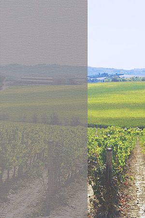 Preview Bühl 10.407e 2