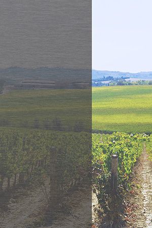 Preview Bühl 20.407e 2