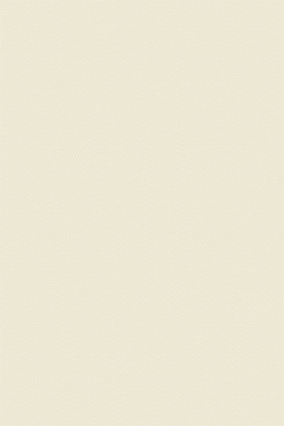 Lamelle Bulgarien 2008.1128 Detailansicht