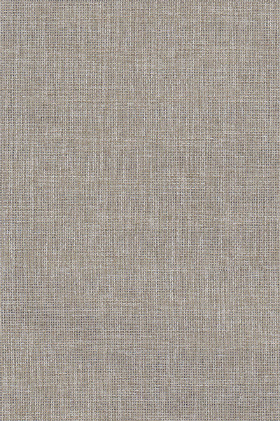 Lamelle Chile 7004.1145 Detailansicht