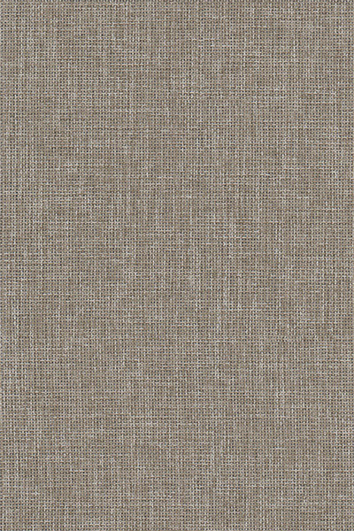 Lamelle Chile 7005.1146 Detailansicht