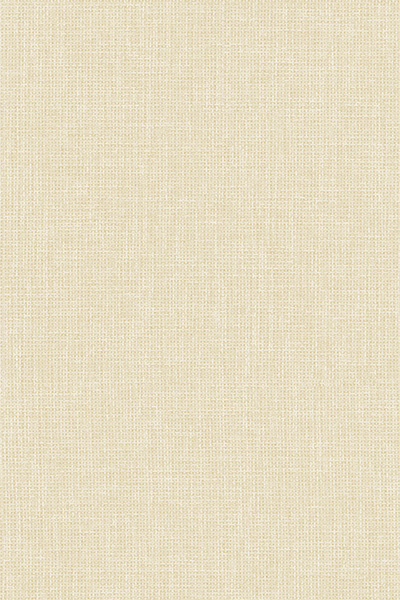 Lamelle Chile 2002.1143 Detailansicht