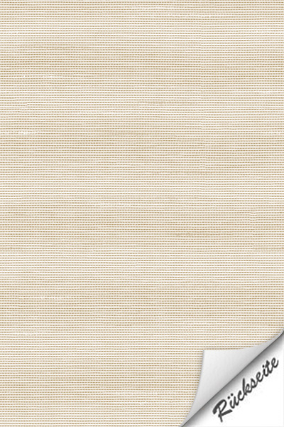 Lamelle Haiti BO 2002.1184 Detailansicht