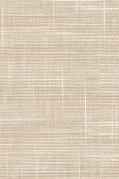 Lamelle Bahamas 2003.1135 Detailansicht