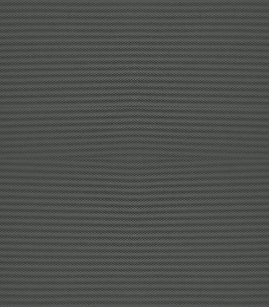 Detailansicht Bindersee 090198