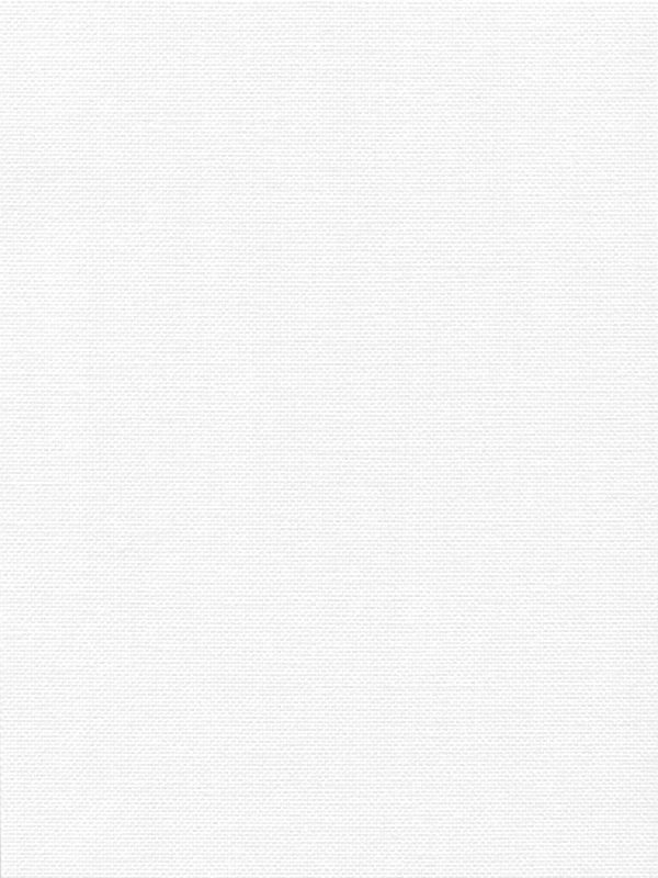 Detailansicht Lamelle Belgien 1007.1053
