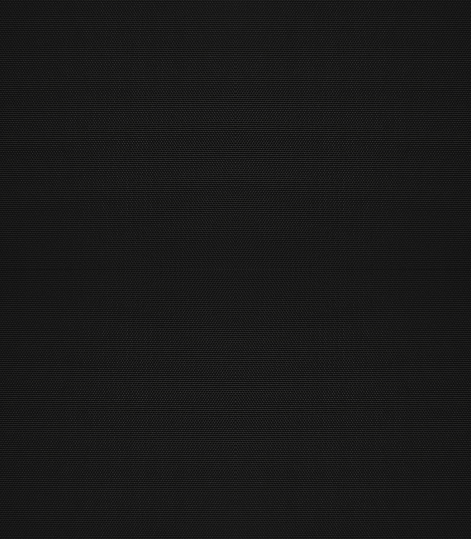 Detailansicht Hufeisensee 091528