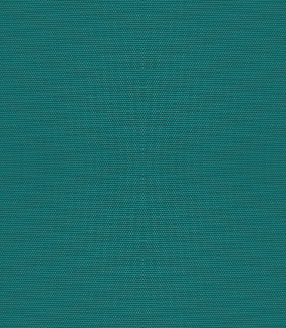 Detailansicht Mondsee 062035