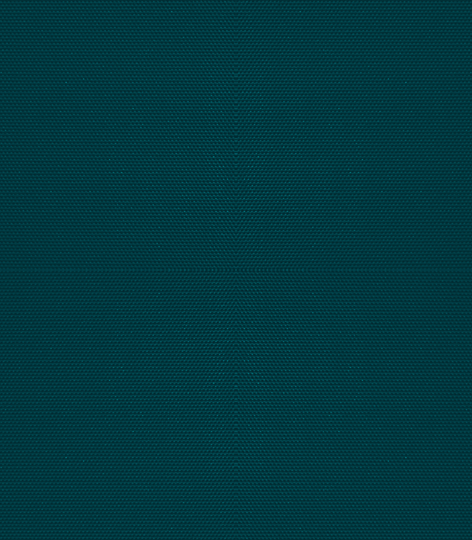 Detailansicht Mondsee 062040