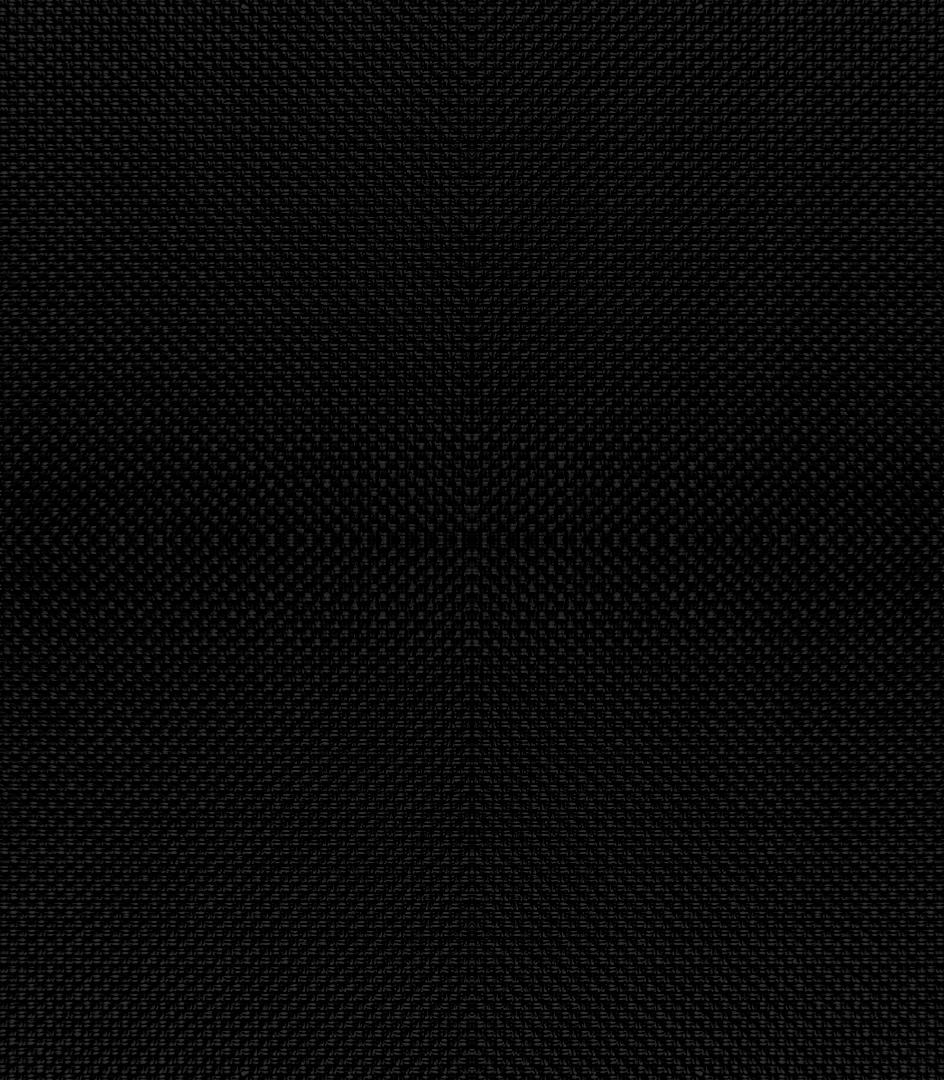 Detailansicht Woblitzsee 083613