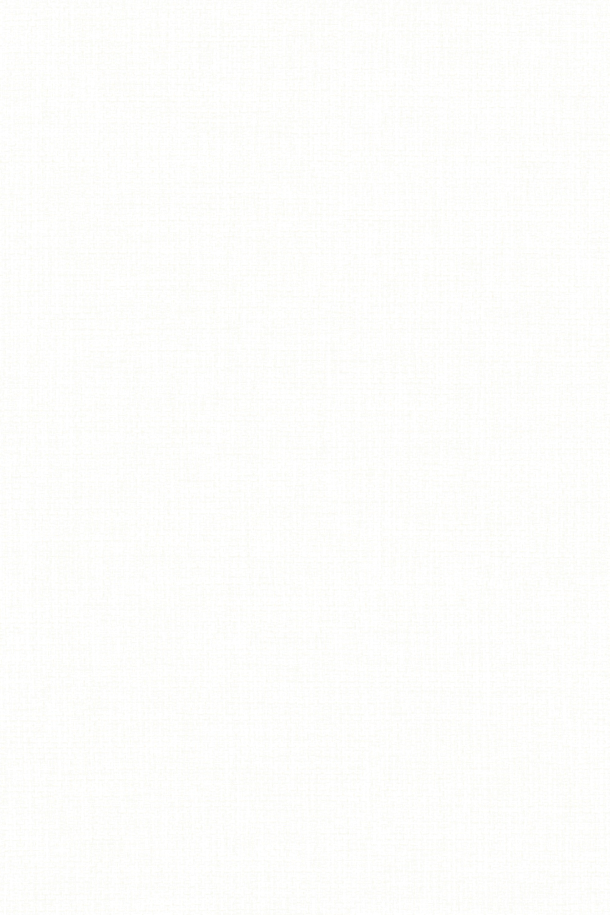 Detailansicht Lamelle Chile BO 1001.1171