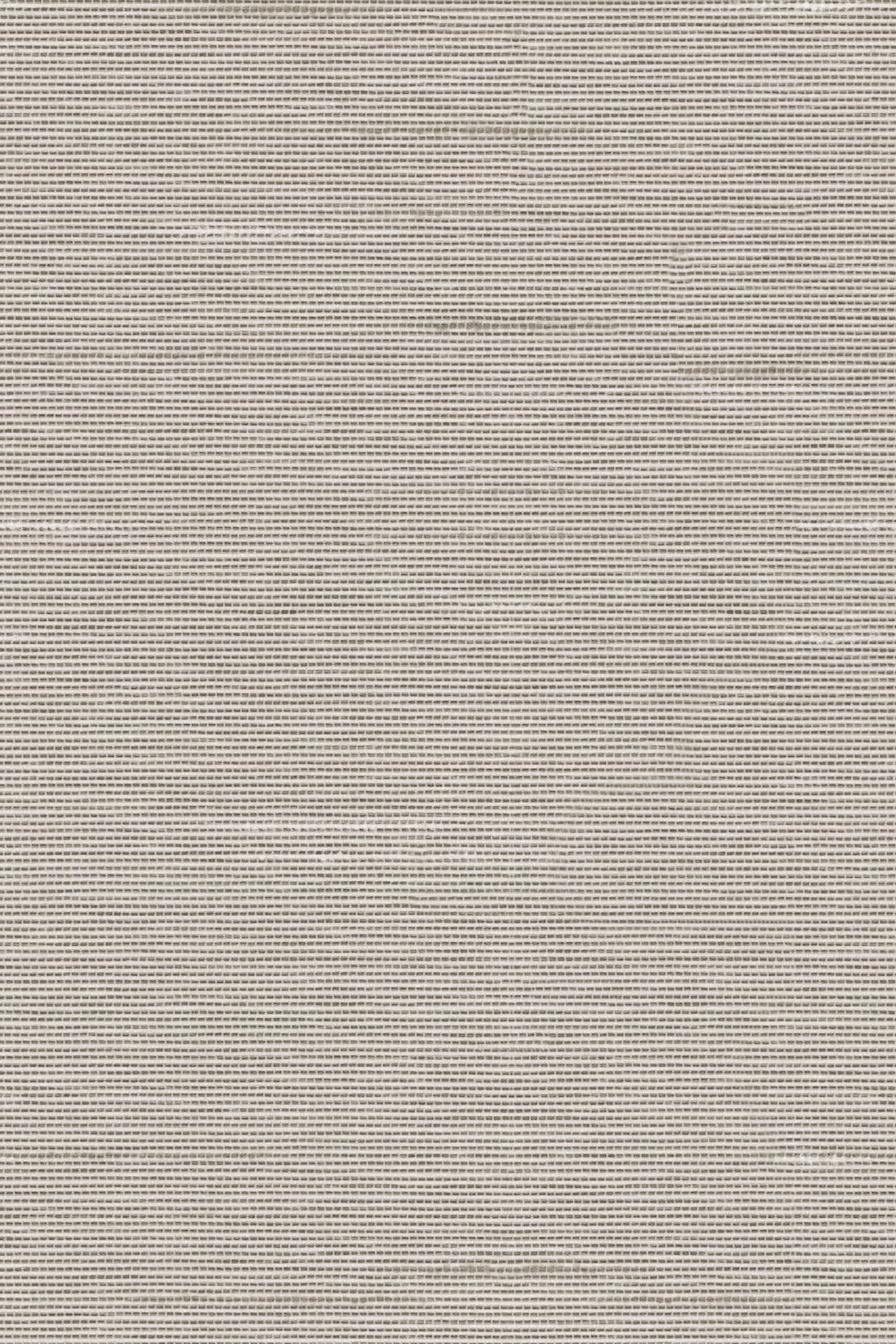 Detailansicht Lamelle Haiti 2003.1166