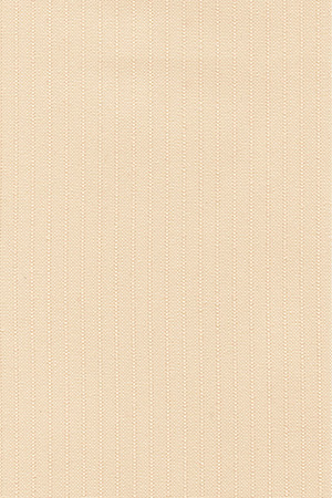 Preview Lamelle Finnland 2005.1036 5