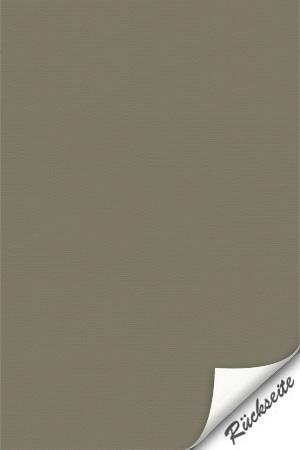 Preview Lamelle Schweden 7005.1041 5