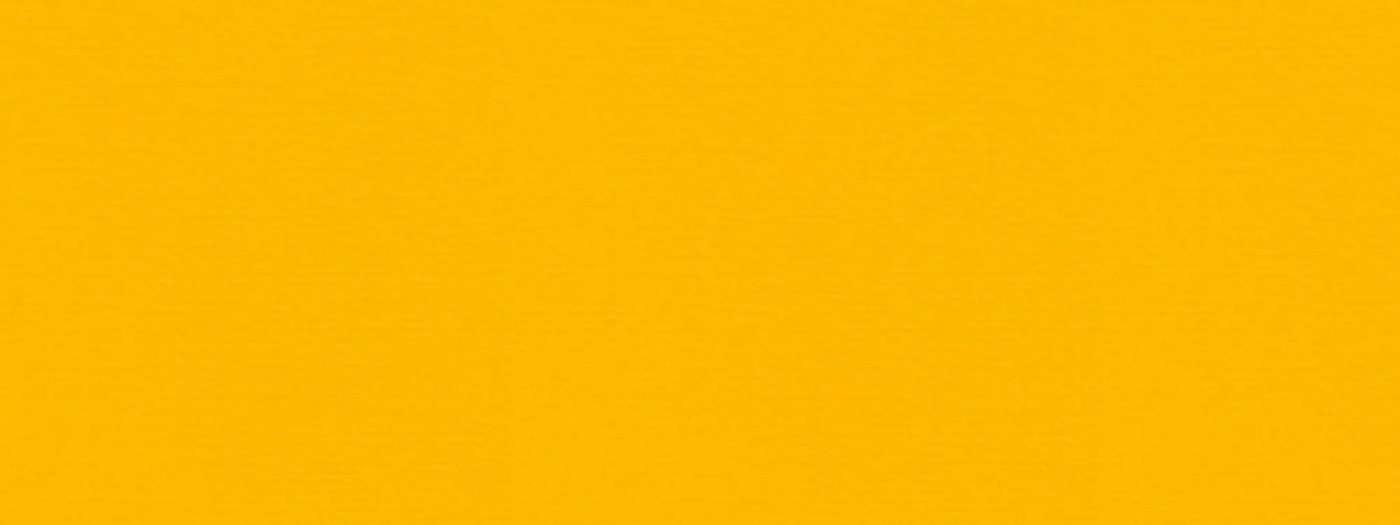 Detailansicht Markise Texout Glänzend 199