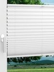 LYSEL HOME Plissee 205B Aralia Fensteransicht