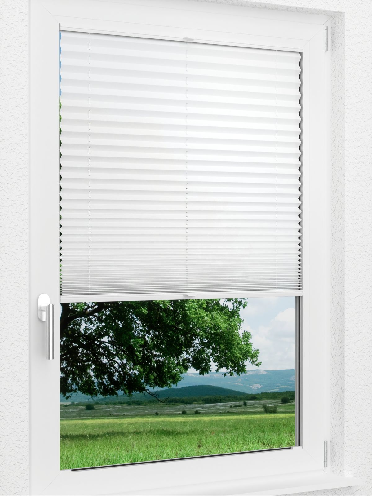 Detailansicht LYSEL HOME Plissee 205A Aralia