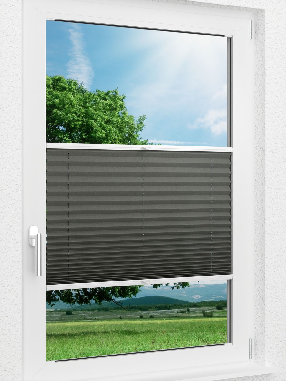 Detailansicht LYSEL HOME Plissee 208A Aralia