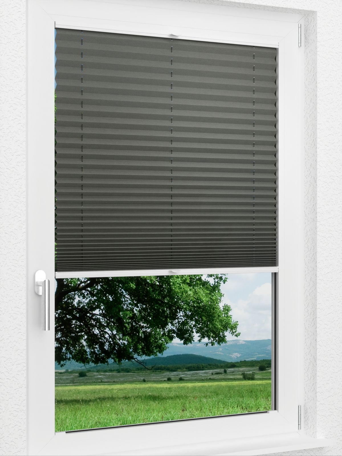 Detailansicht LYSEL HOME Plissee 208A Aralia