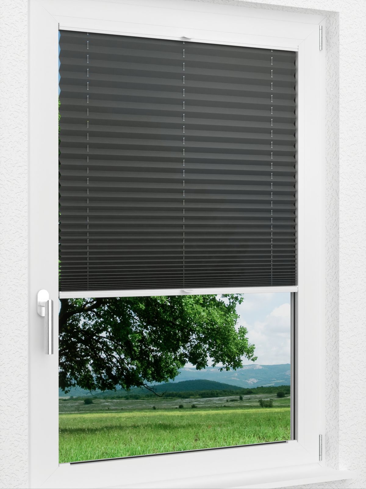 Detailansicht LYSEL HOME Plissee 137A Aralia