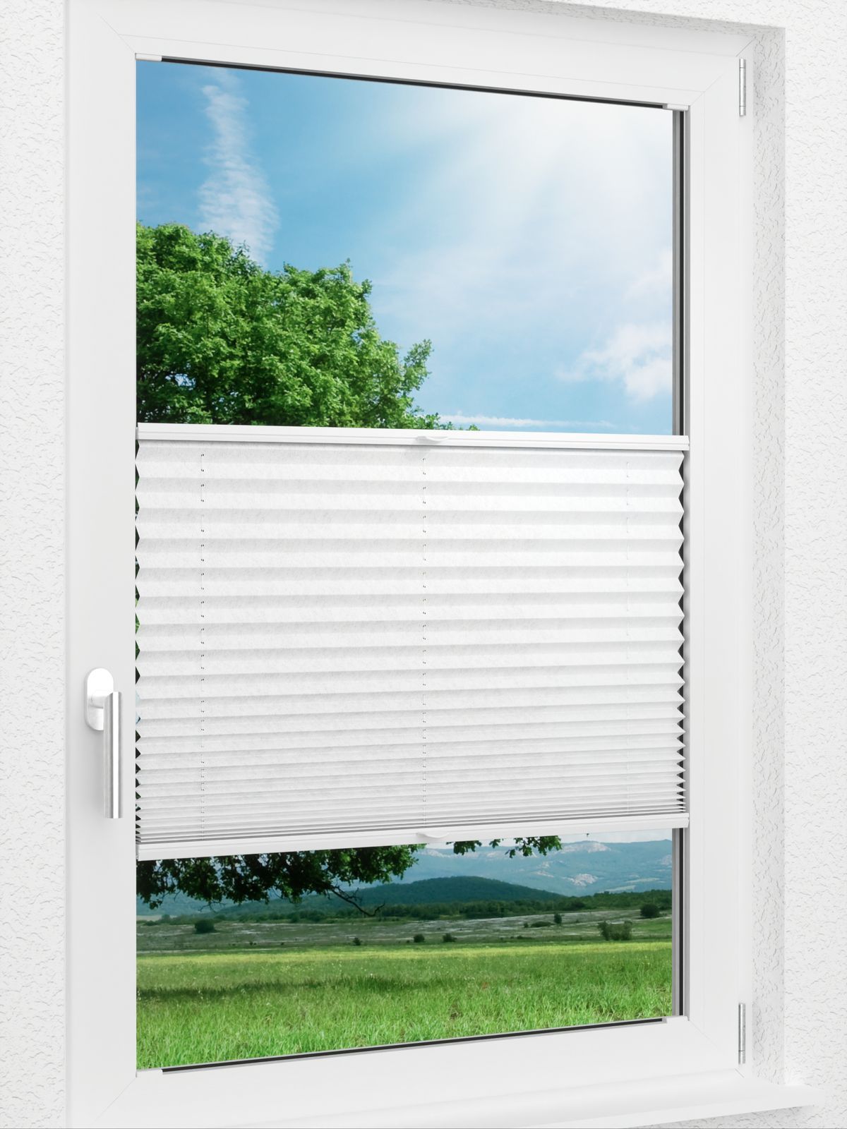 Detailansicht LYSEL HOME Plissee 204A Arum