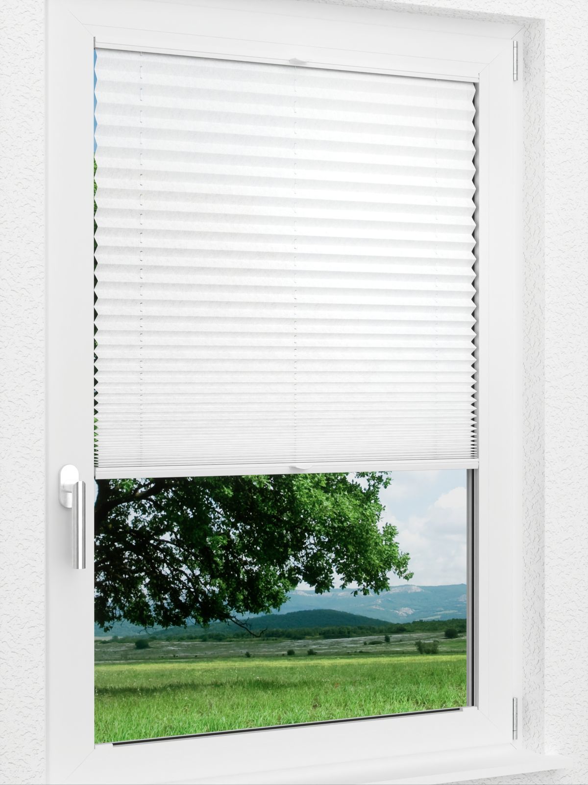 Detailansicht LYSEL HOME Plissee 204A Arum