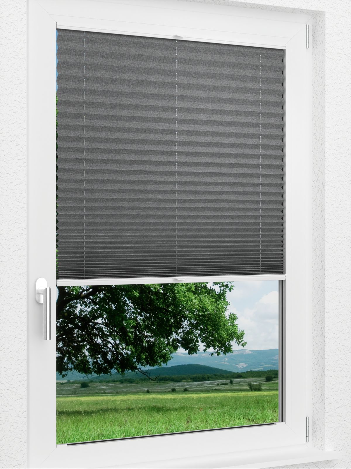 Detailansicht LYSEL HOME Plissee 127A Betula BO