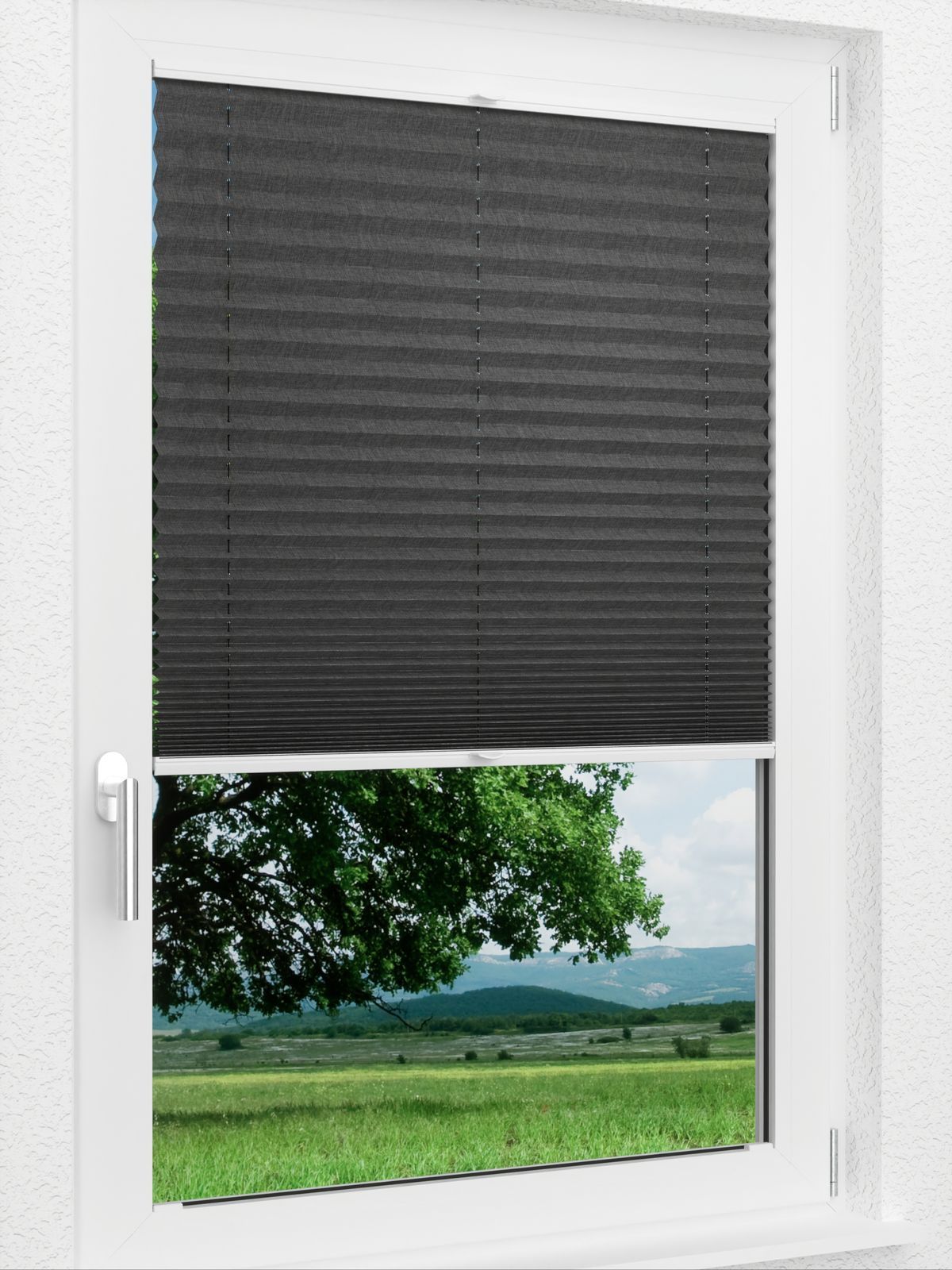 Detailansicht LYSEL HOME Plissee 117A Betula BO