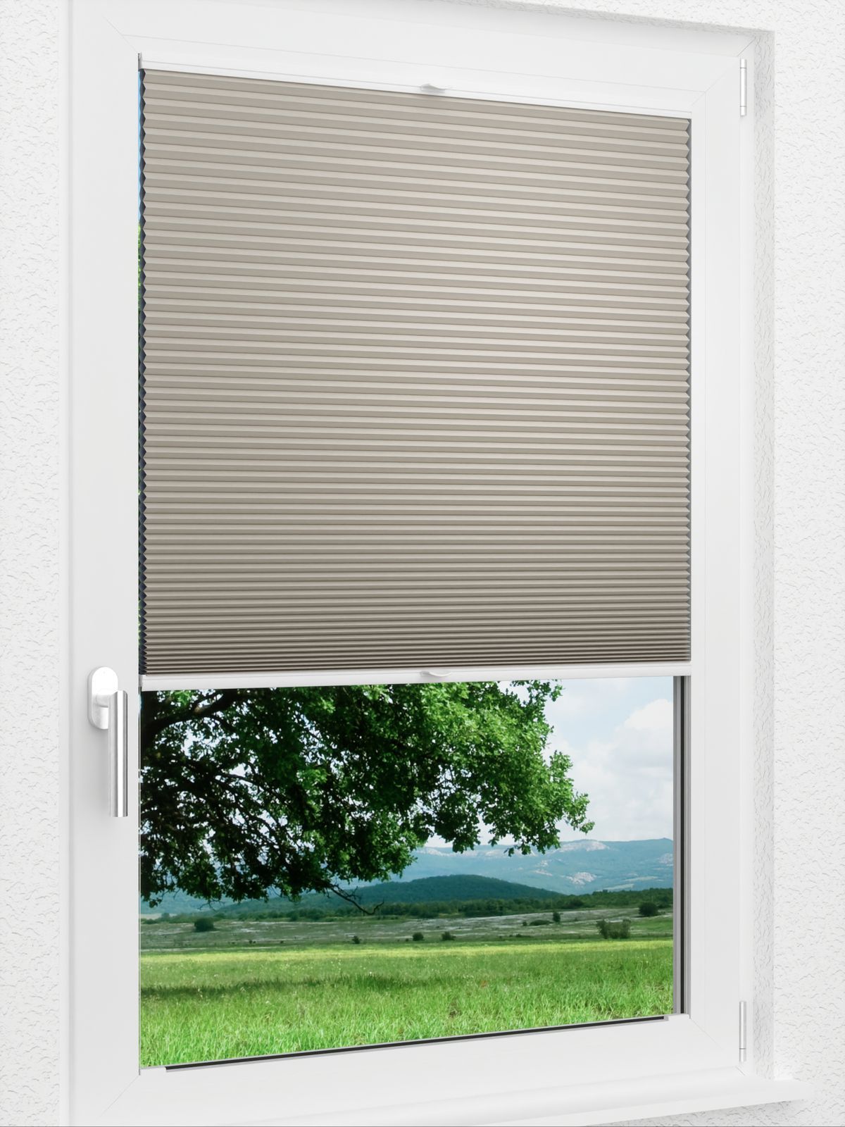 Detailansicht LYSEL HOME Plissee 008A Nana BO Wabe