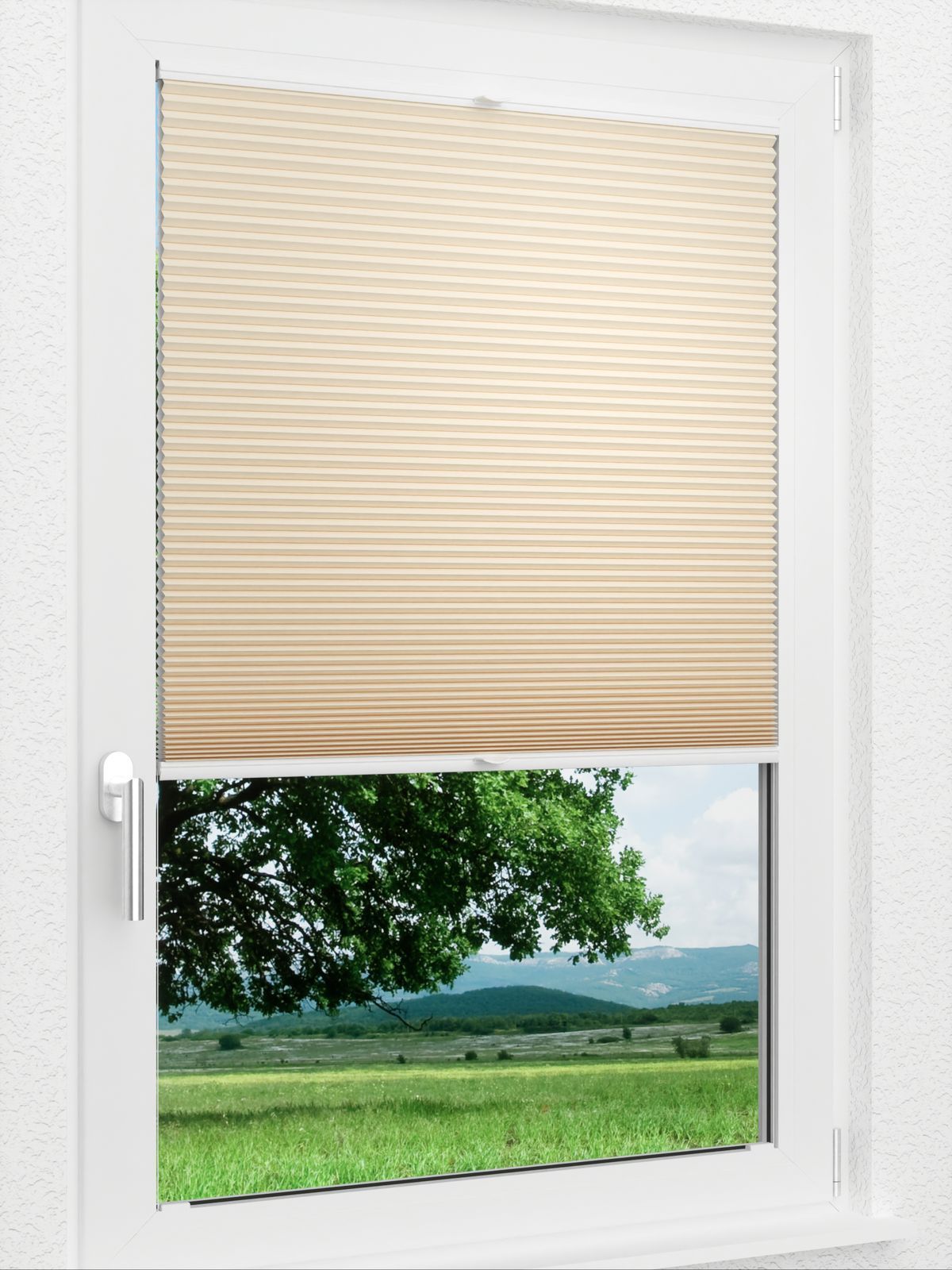 Detailansicht LYSEL HOME Plissee 035A Alba LI Wabe