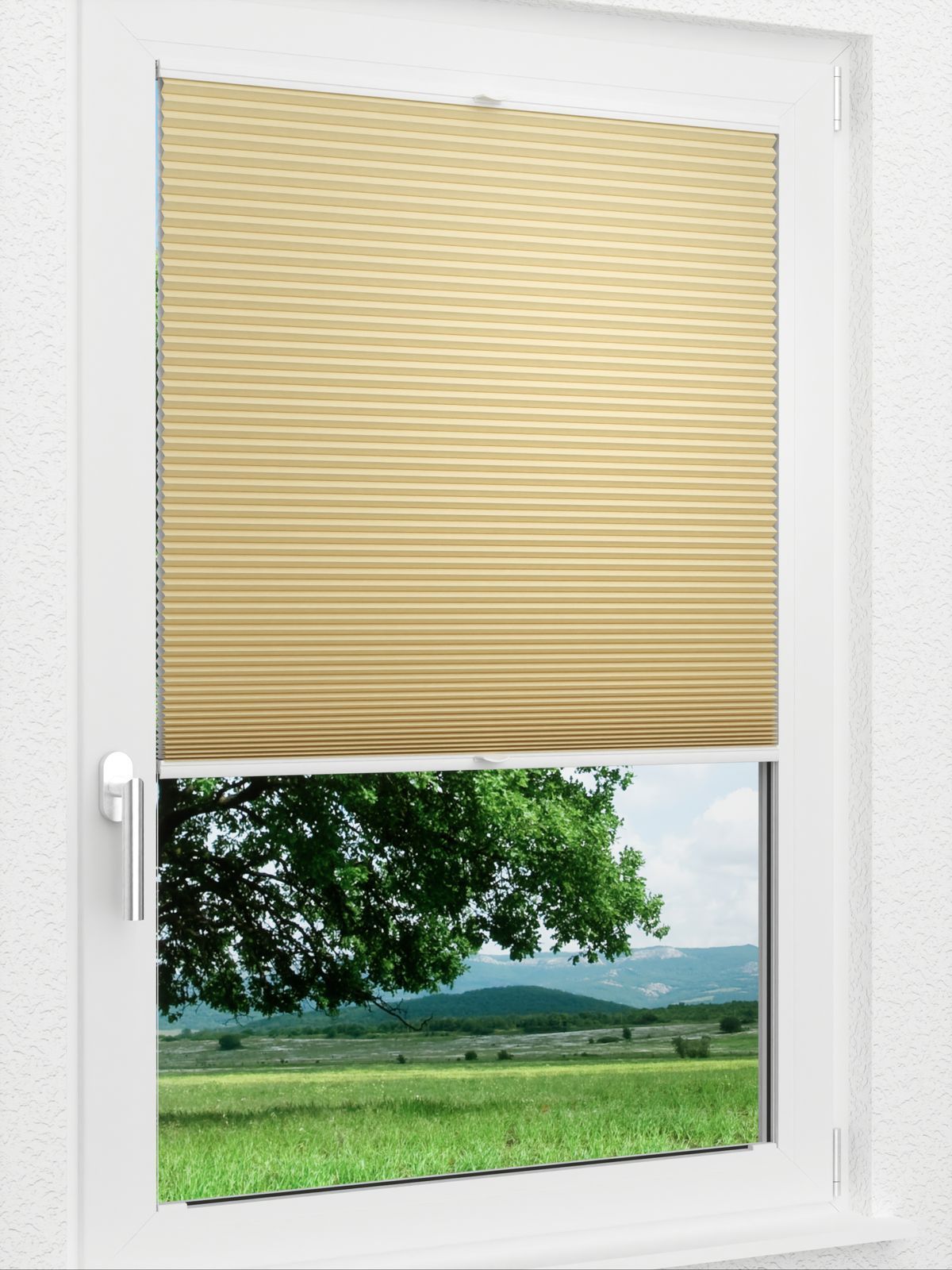 Detailansicht LYSEL HOME Plissee 031A Alba LI Wabe