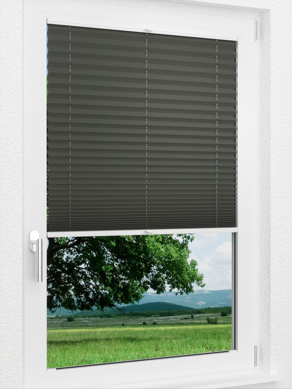 Detailansicht LYSEL HOME Plissee 202B Aralia BO