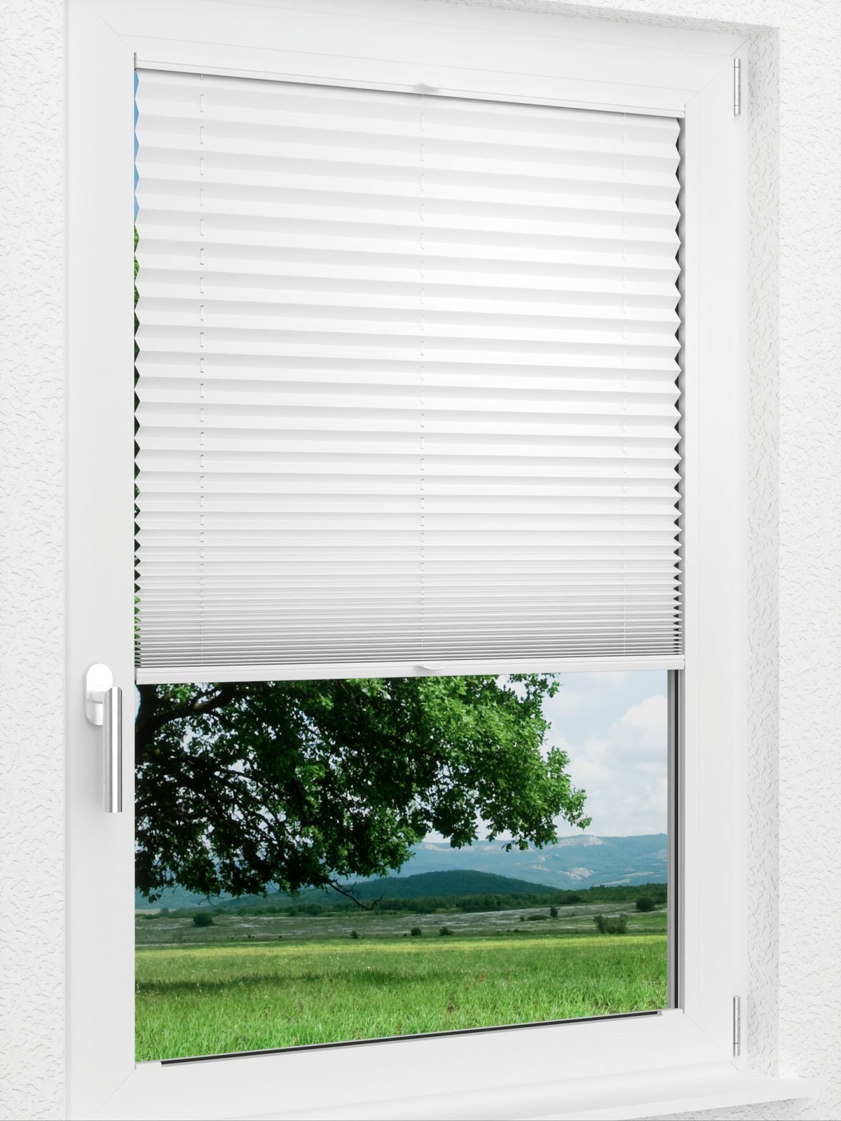 Detailansicht LYSEL HOME Plissee 209B Aralia Pearl