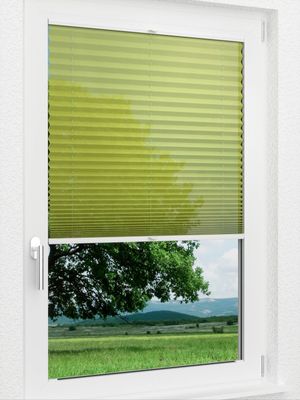 Preview LYSEL HOME Plissee 316A Flame 1