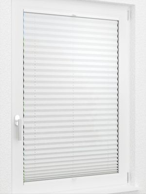 Preview LYSEL HOME Plissee 104A Erinus 2