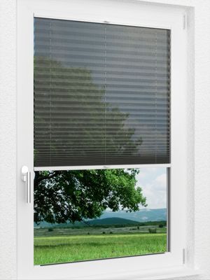 Preview LYSEL HOME Plissee 112A Calluna 1