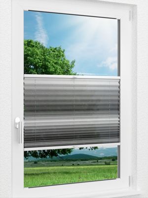 Preview LYSEL HOME Plissee 418A Light Wave 0