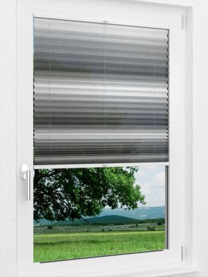 Preview LYSEL HOME Plissee 418A Light Wave 1
