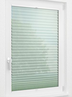 Preview LYSEL HOME Plissee 423A Sensitivo 2